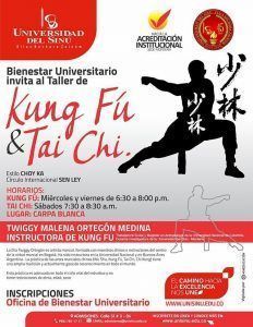 Taller-de-Kung-fu