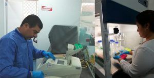 Investigadores unisinuanos
